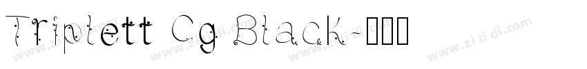 Triplett Cg Black字体转换